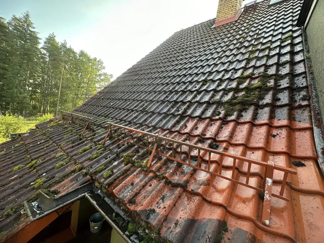 Widok dachu z dachówką pokrytą mchem, pokazujący proces, jak usunąć mech z dachu. Widać różnicę między oczyszczoną a zabrudzoną częścią.